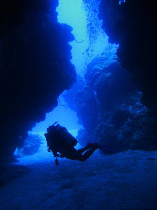 Beachouse Dive Hostel Cozumel Exteriör bild