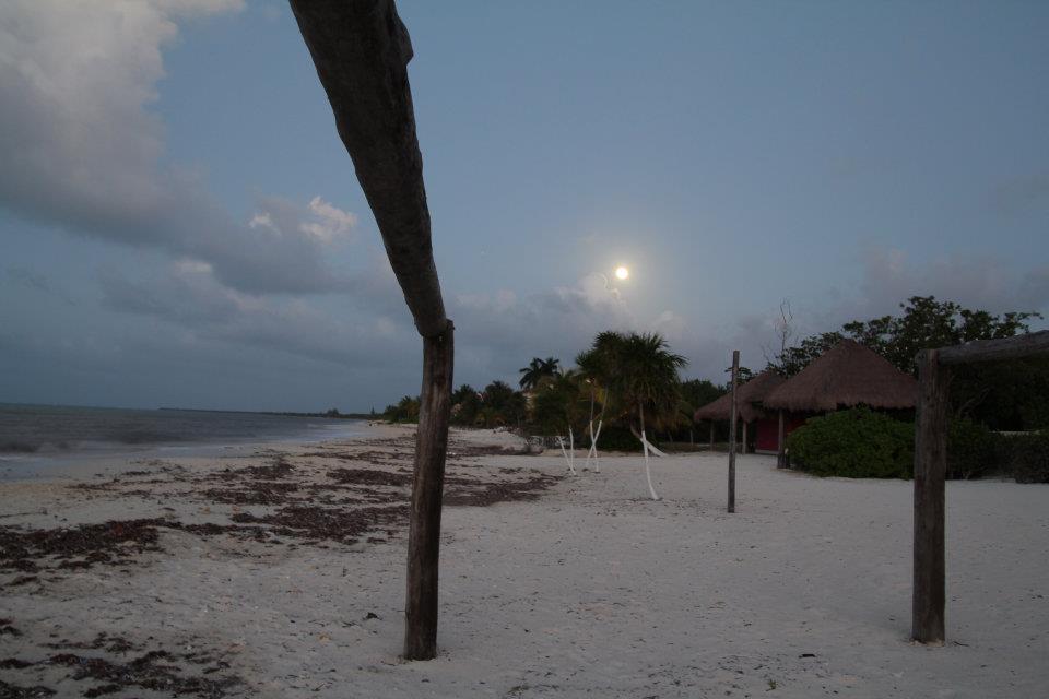 Beachouse Dive Hostel Cozumel Exteriör bild