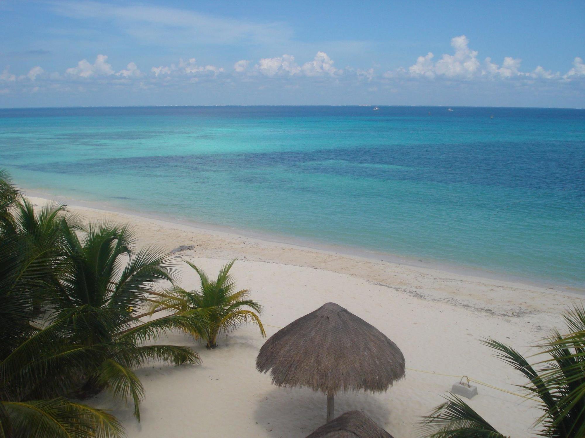 Beachouse Dive Hostel Cozumel Bekvämligheter bild